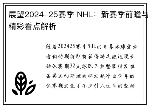 展望2024-25赛季 NHL：新赛季前瞻与精彩看点解析